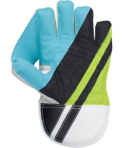 Wicket Keeping Gloves